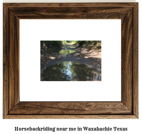 horseback riding near me in Waxahachie, Texas